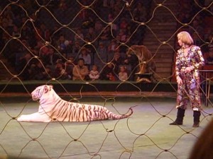 Ольга Денисова восстановила постановку "Белые тигры"